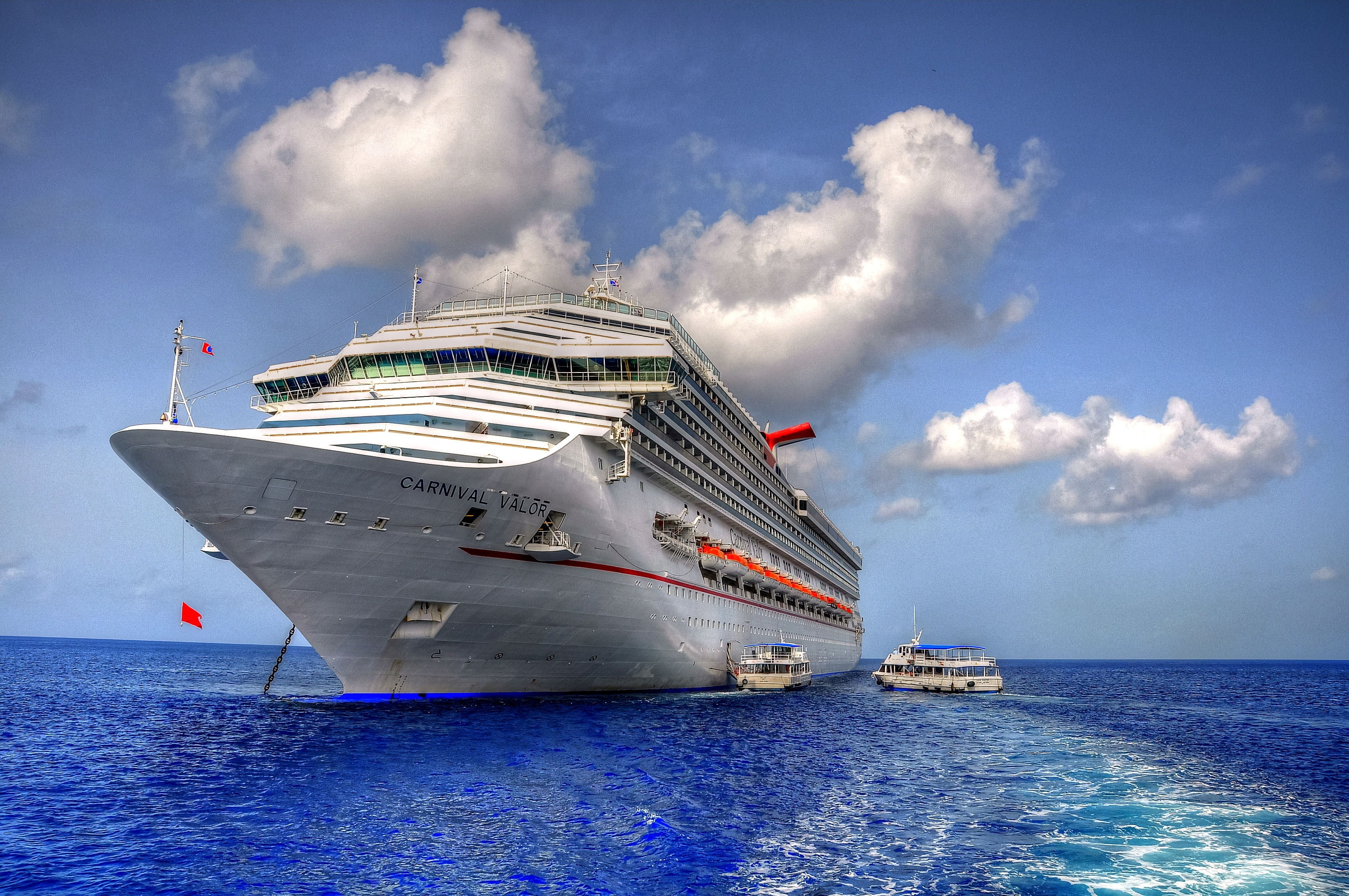 white cruise ship, cruise ship, vehicle, ship
