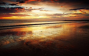 landscape photography of low tide sea during golden hour