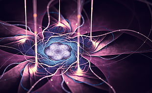 flower digital wallpaper, abstract, fractal, digital art, fractal flowers HD wallpaper