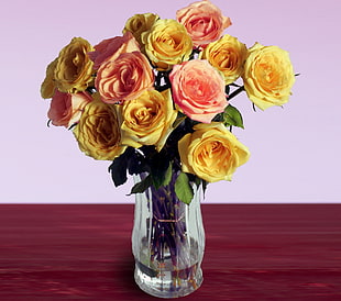 yellow and pink Rose bouquet