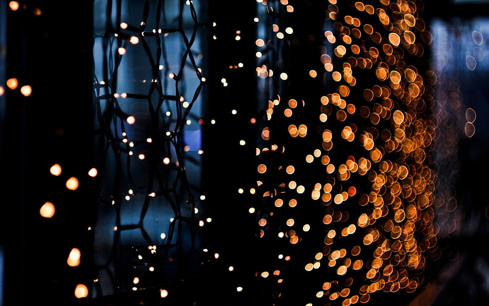 bokeh illustration, LEDs HD wallpaper