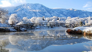 bridge; snow-covered mountains and trees; body of water