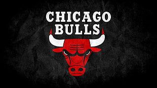 Chicago Bulls logo HD wallpaper