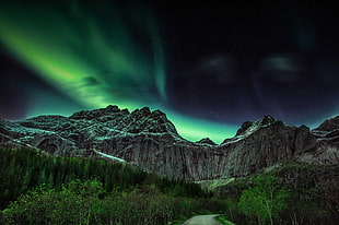 aurora light, landscape, aurorae HD wallpaper
