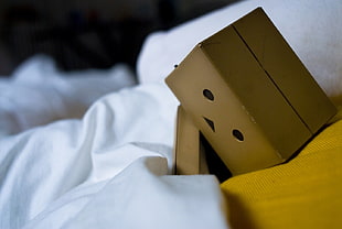 Danbo, Amazon, Danbo