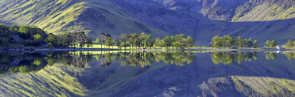 landscape reflection photography of body of water and green trees in front of mountain HD wallpaper