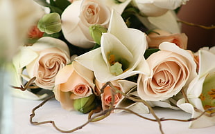 white-and-pink rose bouquet