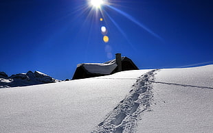 footsteps on snow under sun rays HD wallpaper