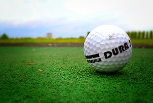white golf ball on green grass field HD wallpaper
