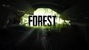 The Forest poster HD wallpaper