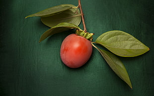 close-up photography of red fruit photo