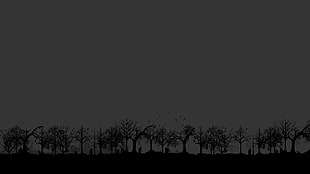 minimalism HD wallpaper