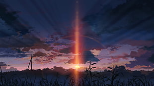 silhouette photo of grasses during golden hour, sunset, 5 Centimeters Per Second, anime, landscape
