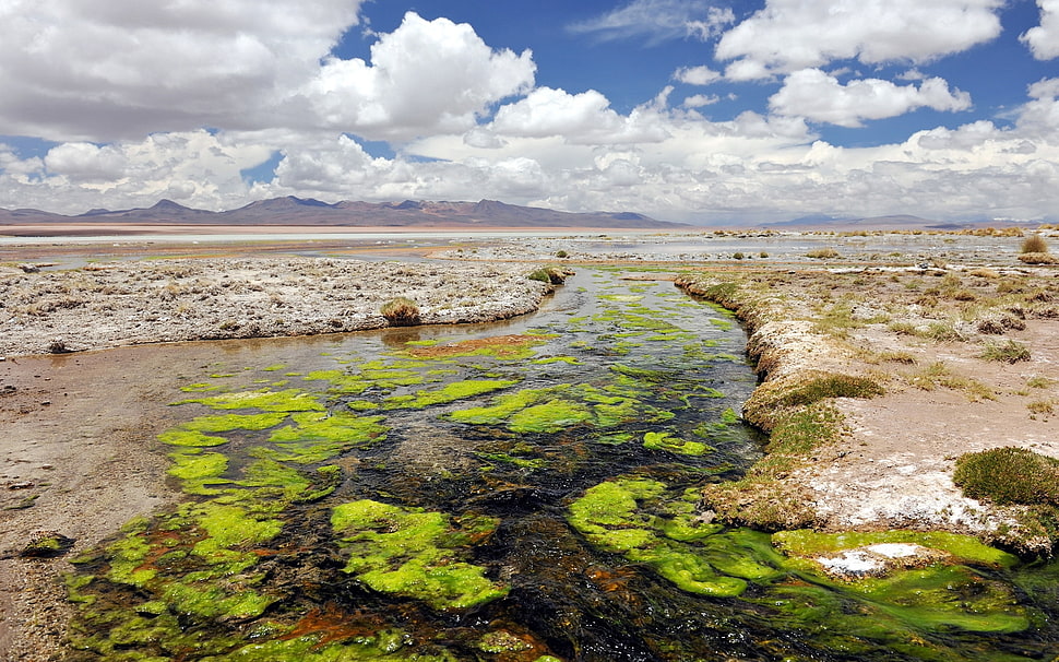 dried river HD wallpaper