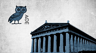 AOE building, Athens, owl, antiquity, Parthenon HD wallpaper