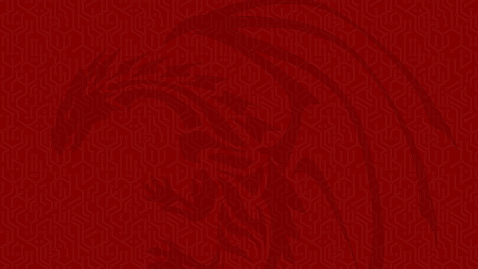 illustration of dragon, dragon, red HD wallpaper