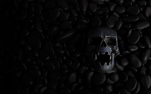 black skull, dark, skull, stones