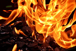 fire wallpaper, Fire, Flame, Ash