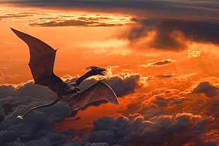 brown flying dinosaur near clouds graphic wallpaper