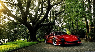 red Ferrari F40, car, Ferrari, Ferrari F40, Gran Turismo HD wallpaper