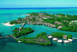 aerial photography of houses surrounded with mangroves