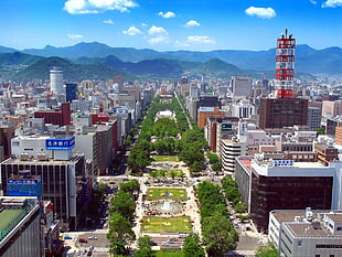 aerial photography of park at the center of the city during day, Japan, Sapporo, Sapporo Japan, park HD wallpaper