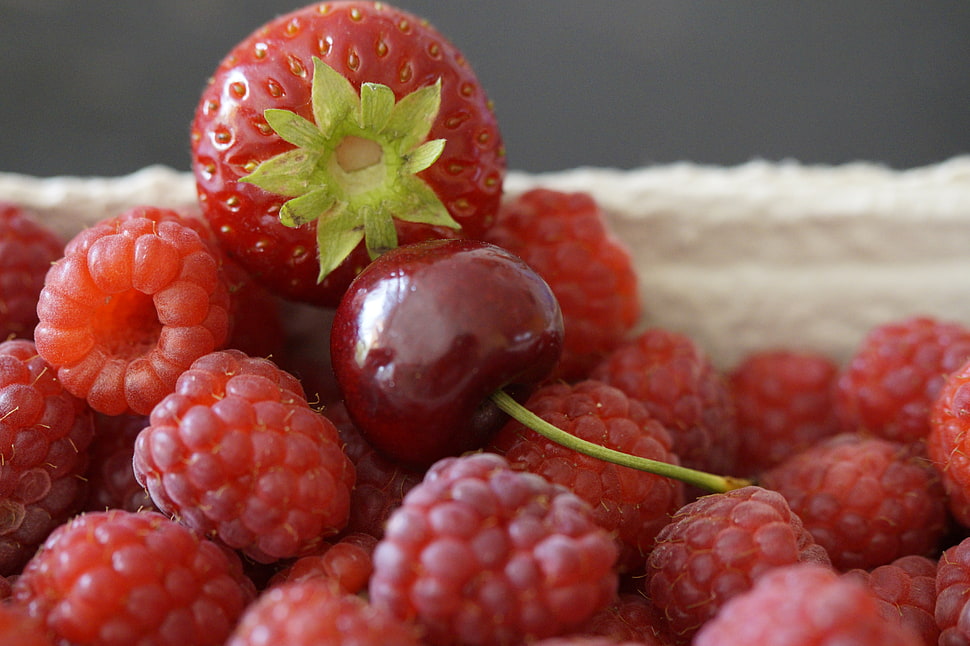 raspberry fruit HD wallpaper