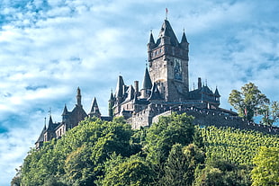 photo of gray castle surrounded with trees, cochem