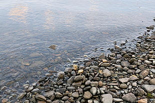 gray stone on shore during daytime