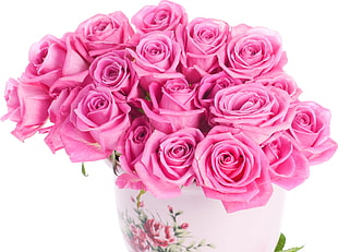 bouquet of pink Rose HD wallpaper