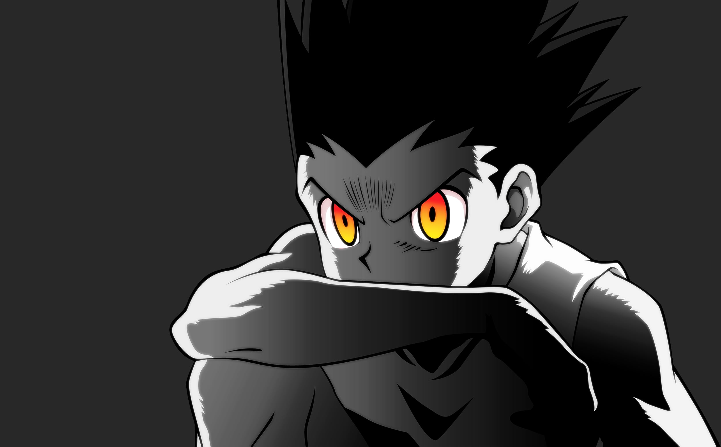 HxH iPhone Wallpapers  Wallpaper Cave