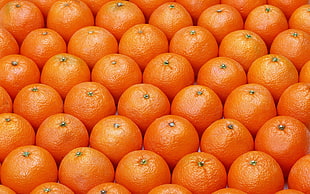 assorted oranges fruits