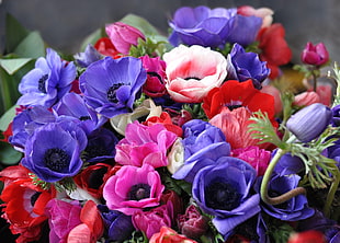 assorted color petaled flower bouquet