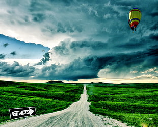 two black and yellow hot air balloons on mid air above green grass field under gray clouds during daytime