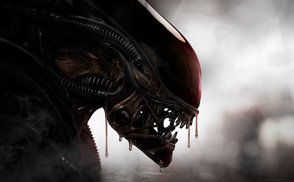 Alien digital wallpaper, aliens, Xenomorph, creature HD wallpaper
