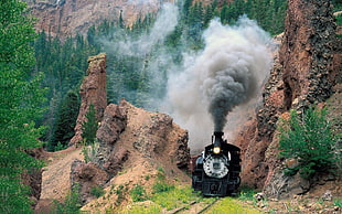 steam train beside mountain near tress