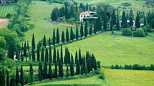 aerial photography of pi