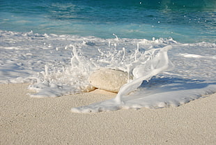 stone on seashore during daytime