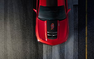 red Chevrolet Camaro scale model HD wallpaper