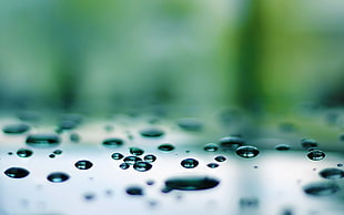 selective photo of water dew