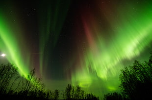 photo of Aurora lights
