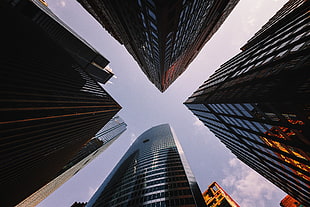 worm view of high-rise building