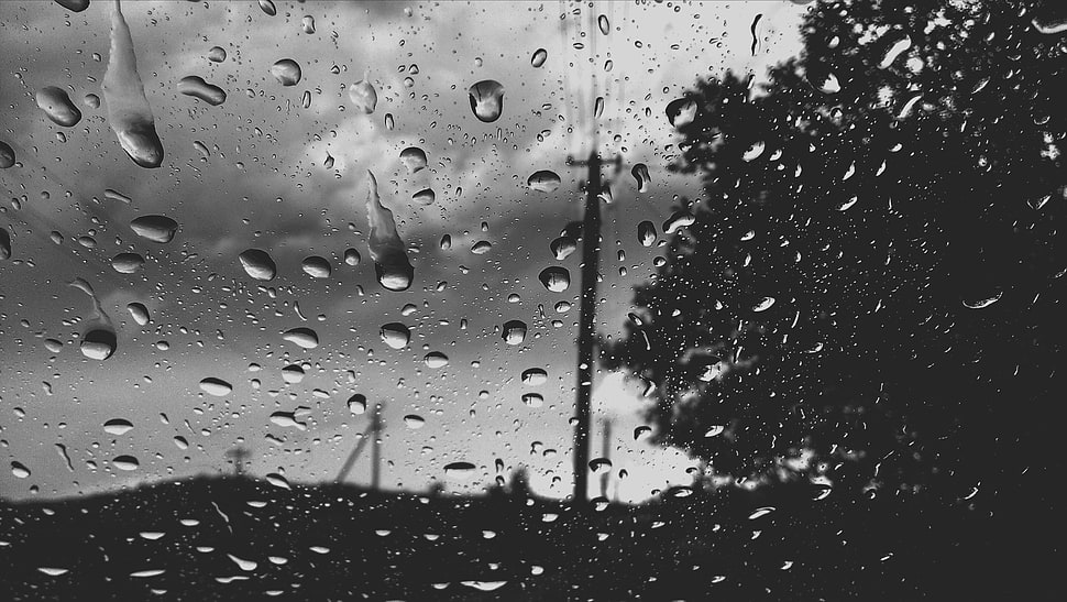 water dew grayscale photo, rain, nature, water on glass HD wallpaper