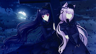 two female anime characters digital wallpaper, Sayori, anime, anime girls, nekomimi HD wallpaper