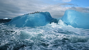ice berg, nature, landscape, winter, iceberg HD wallpaper