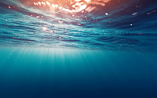 sunrays passing through underwater HD wallpaper