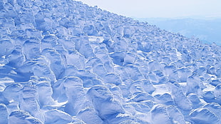 photo of snowy field HD wallpaper