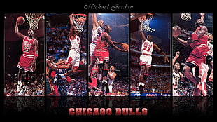 Chicago Bulls Michael Jordan, basketball, Michael Jordan, Chciago Bulls, NBA HD wallpaper