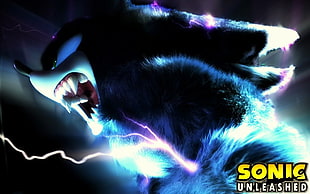 Sonic Unleashed digital wallpaper, Sonic