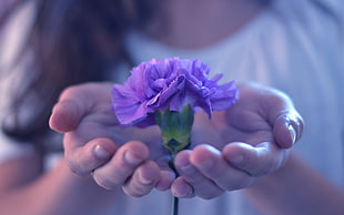 woman holding purple flower